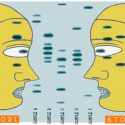 Un par de gemelos, un solo delincuente: las pruebas de ADN para resolver crímenes