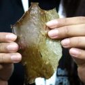 Estudiantes mexicanos crean plástico biodegradable con cáscara de mango