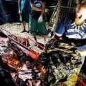 Ballena con 40 kg de plástico en su estómago muere en Filipinas