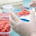 La carrera por producir carne artificial y cómo puede cambiar la forma en la que comemos