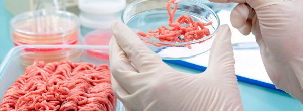 La carrera por producir carne artificial y cómo puede cambiar la forma en la que comemos