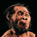 Pruebas de que los humanos como nosotros se extendieron desde Sudáfrica