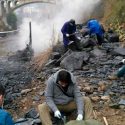 Hallan Fósiles de decenas de nuevas especies de la 'explosión del Cámbrico'
