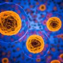 La gran mayoría de los microorganismos no ha sido estudiada nunca en laboratorio