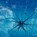 Demuestran que el cerebro humano genera nuevas neuronas hasta los 90 años