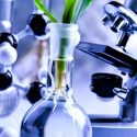 La biotecnología moderna no debe ser estigmatizada por la propuesta de ley de CyT: Investigadores