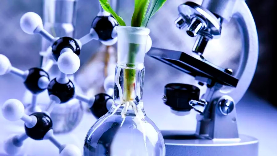 La biotecnología moderna no debe ser estigmatizada por la propuesta de ley de CyT: Investigadores
