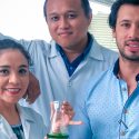 Logran biotecnólogos mexicanos producir enzimas para alimentación animal, a partir de microalgas verdes