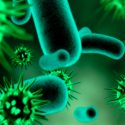 Las bacterias se asocian con virus para causar heridas crónicas