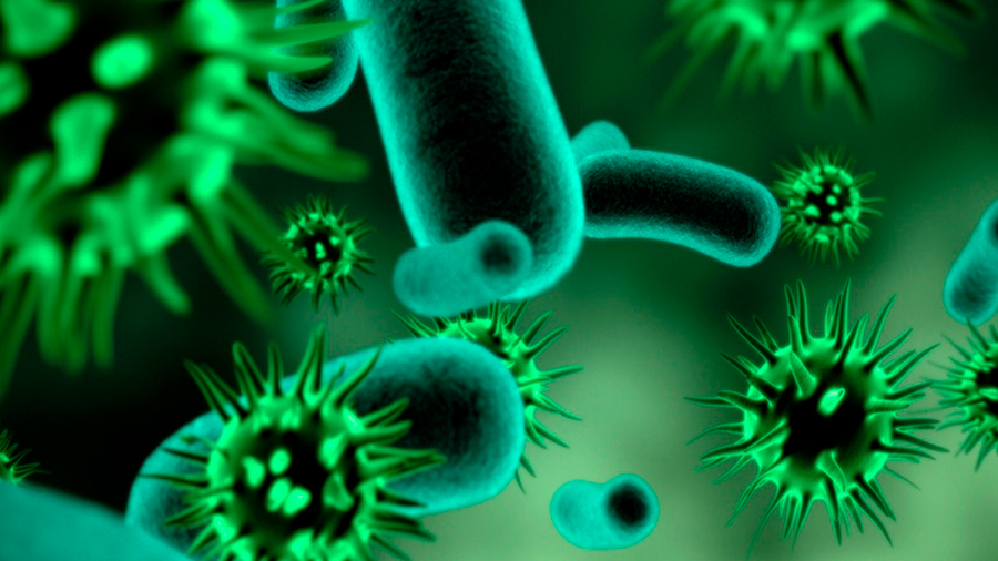 Las bacterias se asocian con virus para causar heridas crónicas