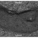 Hallan en Chile huella humana de hace 15,600 años, posiblemente la más antigua jamás encontrada en América