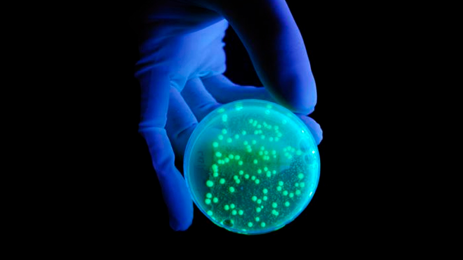 La luz azul desactiva a una de las superbacterias más peligrosas