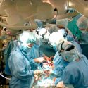 Médicos reparan con éxito lesiones que eran irreversibles en médula espinal de varios perros