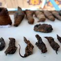Egipto: hallan ratones momificados en la tumba faraónica de un noble