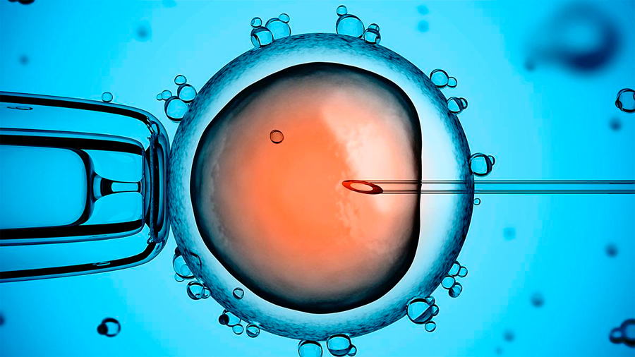 “Cualquier edición genética que hagamos en un embrión pasará de generación en generación”