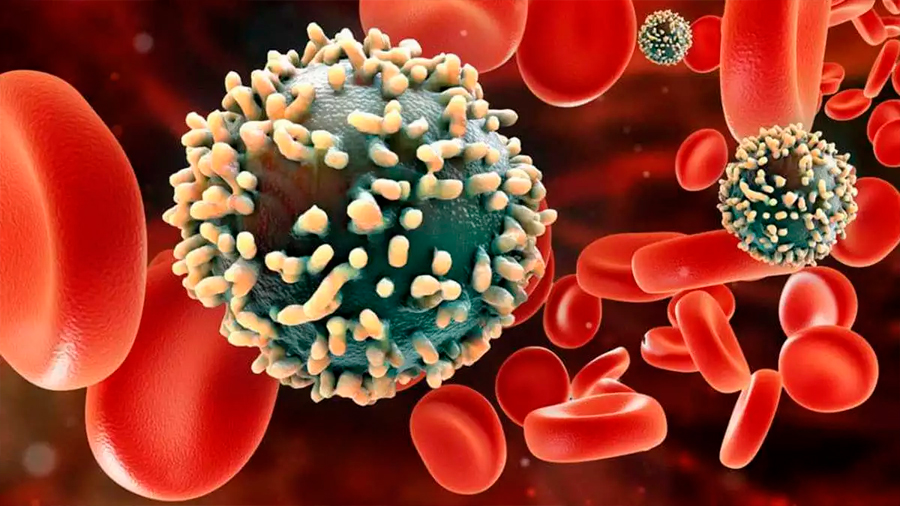 Nuevas imágenes revelan vulnerabilidades nunca antes vistas del VIH