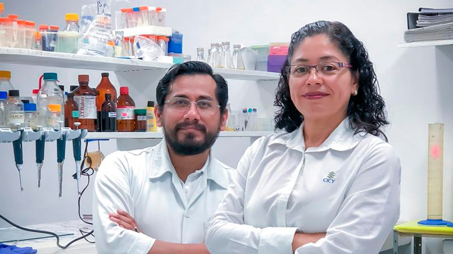 Científica mexicana desarrolla antibióticos del chile de alta pureza capaces de atacar bacterias