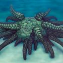 Un pepino de mar ancestral era como el ficticio monstruo de Cthulhu