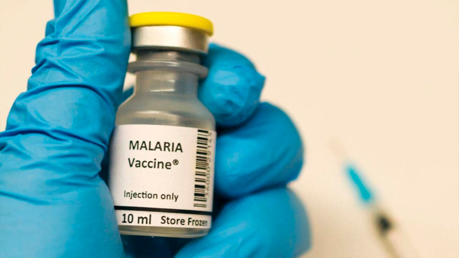 Vacuna contra la malaria 100% efectiva lista para ser probada a gran escala