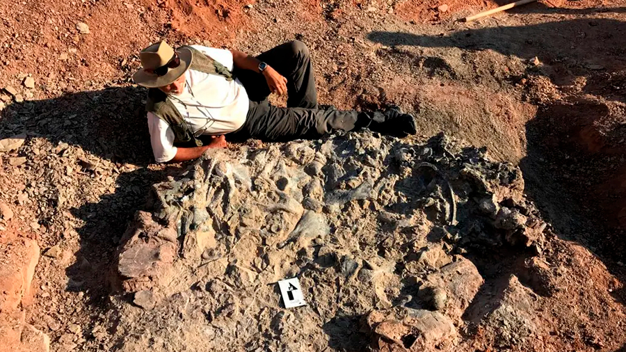 Hallan un extraño cementerio de dinosaurios de 220 millones de años en Argentina