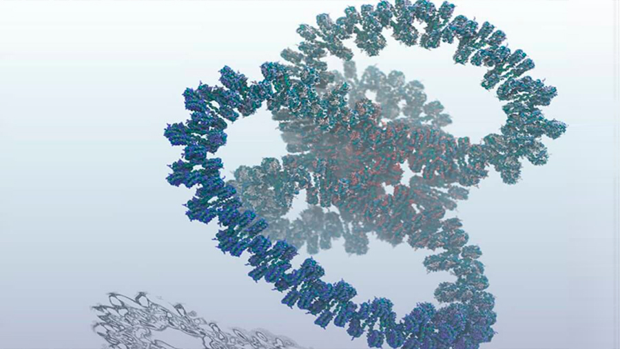 Crean la simulación más grande de un gen con mil millones de átomos