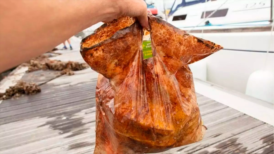 Científicos descubren que bolsas "biodegradables" siguen intactas después de tres años