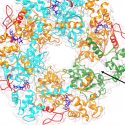 Descubren el mecanismo de acción del 'motor energético' de una proteína crucial en el cáncer