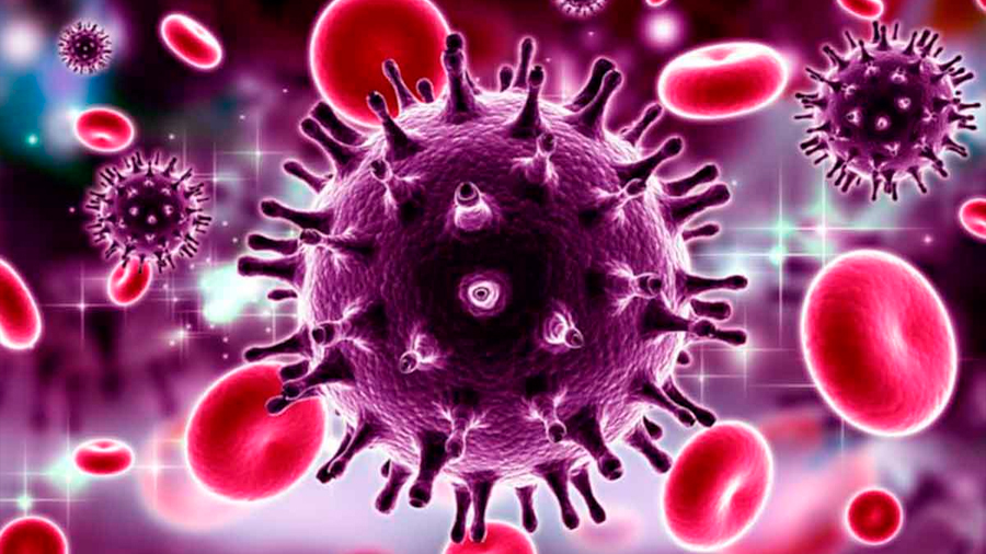 Identifican péptidos virales críticos para el control natural del VIH