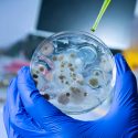 Dispositivo permite detectar bacteria y aplicar fármaco que la ataca en 30 minutos