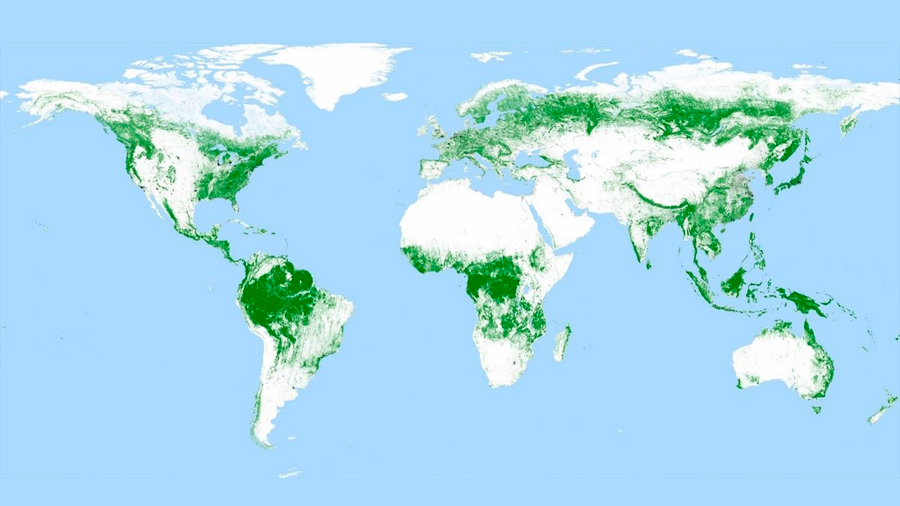 Un satélite alemán produce un mapa global de bosques a resolución de 50 metros