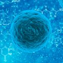 Conoce los 5 aterradores tipos de bacterias más resistentes a los antibióticos de los últimos años