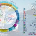 El primer mapa global de distribución de fitoplancton desafía teorías