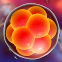 La mutación de las gemelas CRISPR aumenta la mortalidad: científicos de Berkeley