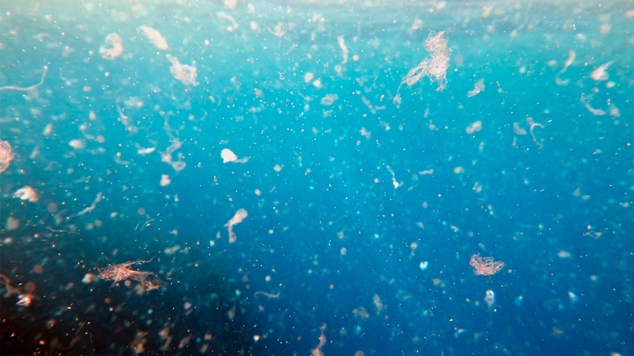 Más de la mitad de los plásticos en el mar son fibras de ropa de la lavadora