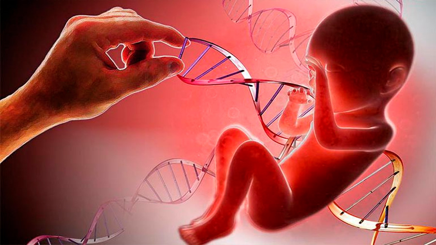 Más bebés editados genéticamente: científico ruso solicita le autoricen intervenir embriones humanos