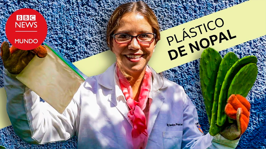 Nopal para reemplazar el plástico: el ingenioso hallazgo de una investigadora mexicana