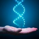 El secreto de una mejor salud puede estar tan sólo en el 1% de tu ADN