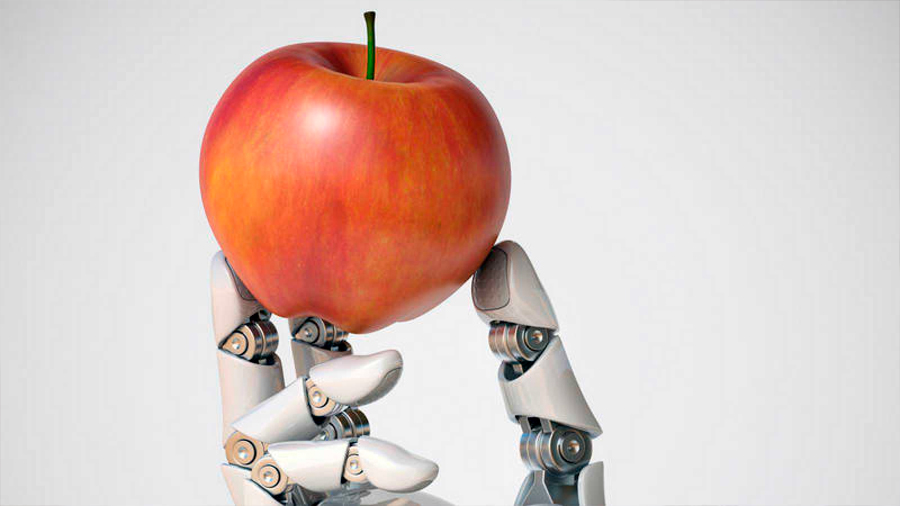Desarrollan en el MIT sistema para que los robots puedan reconocer un objeto a través del tacto