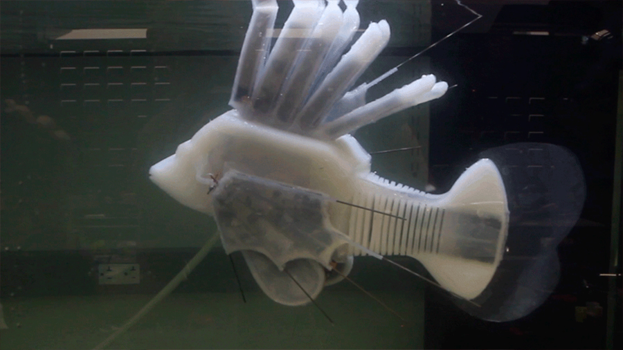 Crean un pez robot capaz de nadar gracias a un fluido similar a la sangre