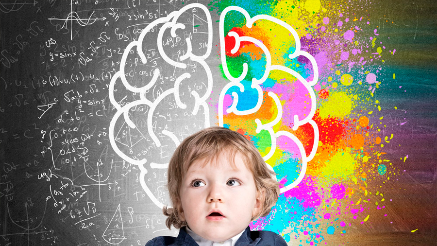 El cerebro consume la mitad de la energía de un niño