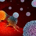 Las células cancerígenas "se hacen inmortales" ingiriendo vitamina C reciclada