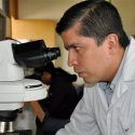Encuentra científico mexicano en desechos agroindustriales las propiedades del plástico para sustituirlo