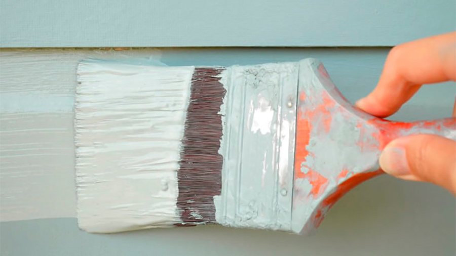 Desarrollan científicos mexicanos pintura que elimina cuatro tipos de bacterias en paredes