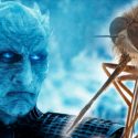 El Rey de la Noche de Juego de Tronos da nombre a una nueva mosca