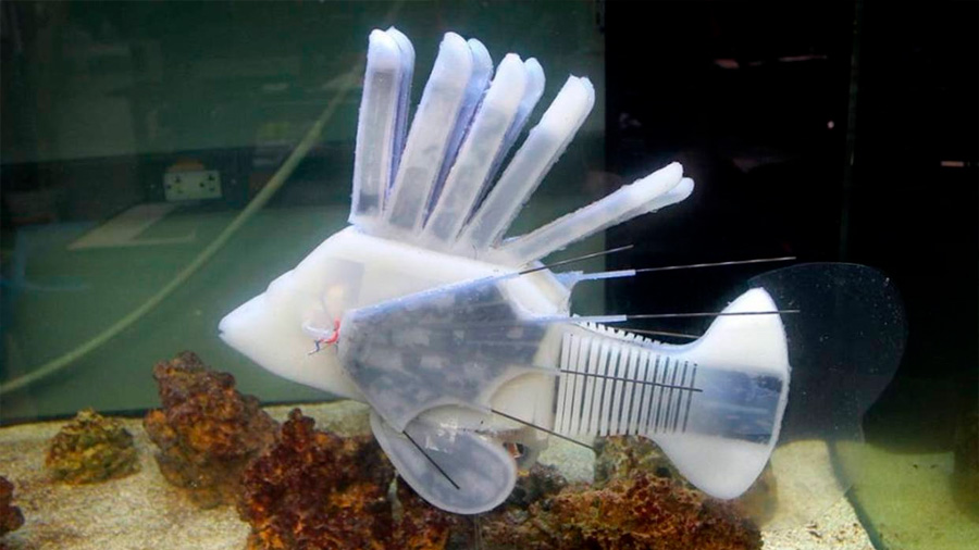 Este pez robot tiene sangre para no depender de las baterías