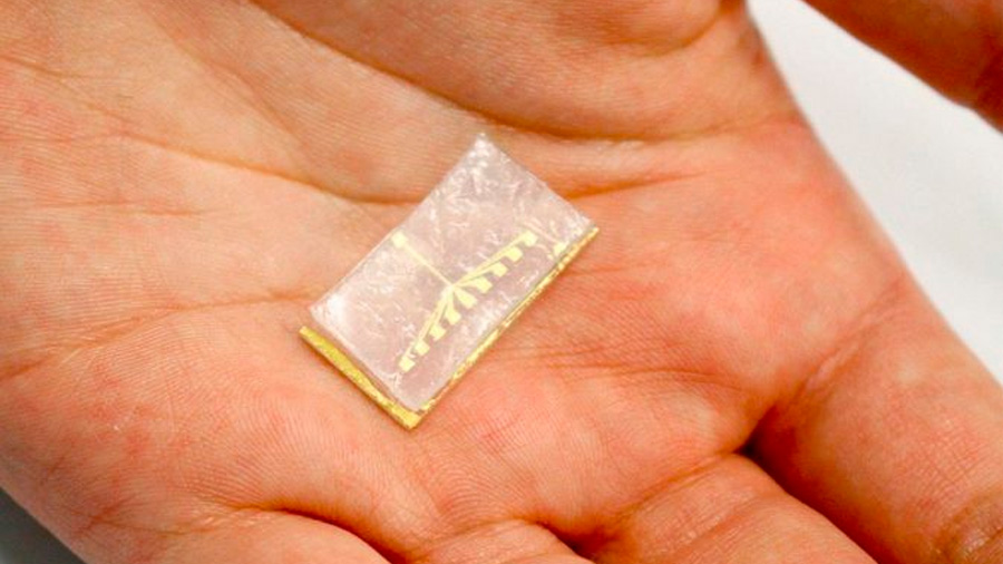 Biotecnológo mexicano crea chip capaz que detectar células cancerosas a partir de “una muy pequeña muestra de sangre”