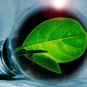 Estudiantes mexicanos generan electricidad a través de plantas