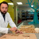 Mexicanos crean fórmula para preservar cadáveres que disminuye riesgos sanitarios y da flexibilidad a los cuerpos