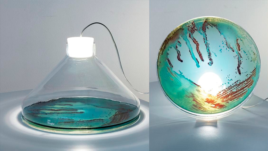 Crean lámparas hechas con microbios