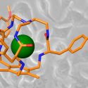 Crean ‘jaulas’ moleculares para eliminar células cancerosas de forma selectiva